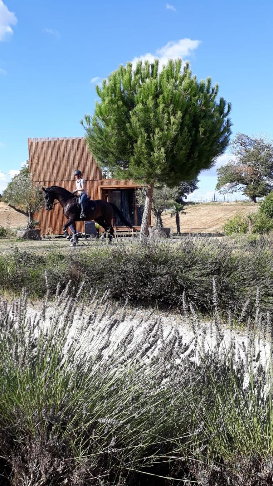 Manege De La Chapiniere - Dadaloge Tiny-House Vila Châteauvieux Exterior foto