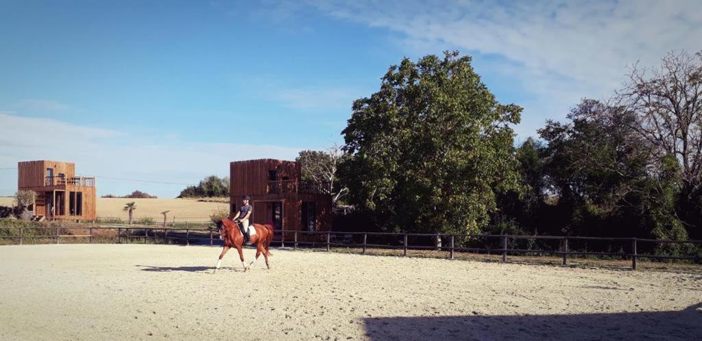 Manege De La Chapiniere - Dadaloge Tiny-House Vila Châteauvieux Exterior foto